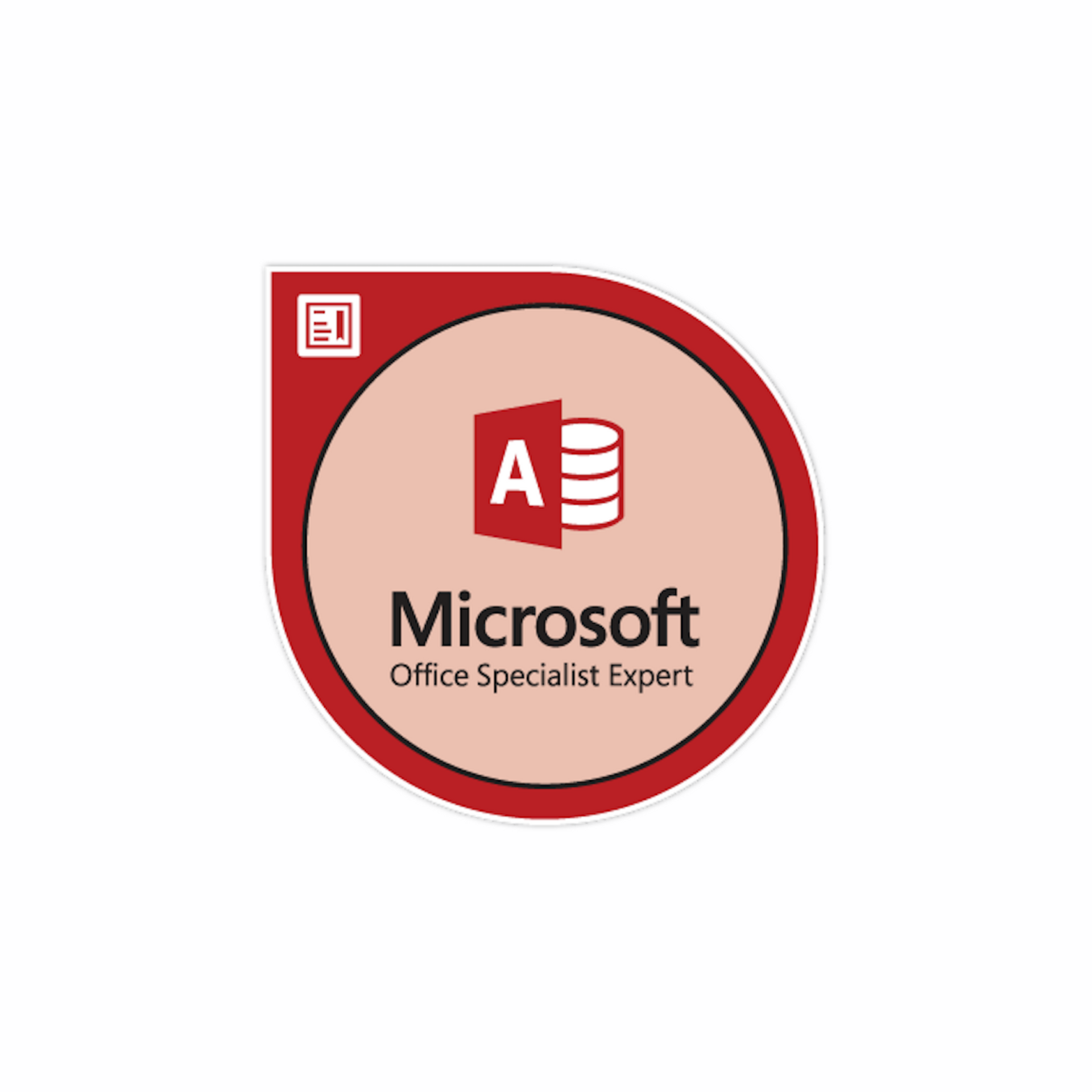 Microsoft - Ｍｉｃｒｏｓｏｆｔ　Ｏｆｆｉｃｅ　Ｓｐｅｃｉａｌｉｓｔ　Ｗｏｒｄ３６５＆２０１9 Microsoft Office Specialist Word 2019: Zimmerman, Roger